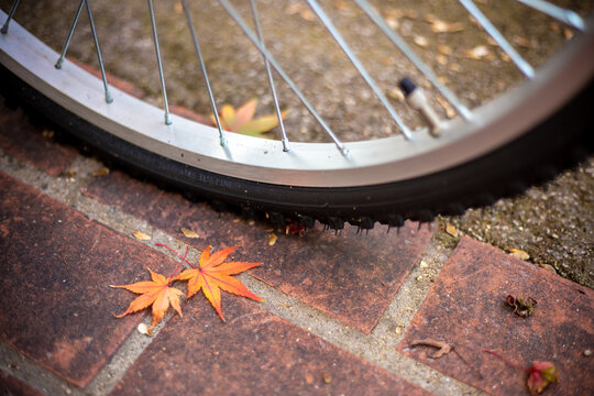 自転車と落ち葉　秋のイメージ