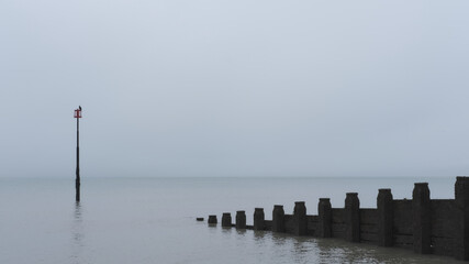 A cormorant perched on a marker post off the beach in Eastbourne, East Sussex. Light grey cloud and...