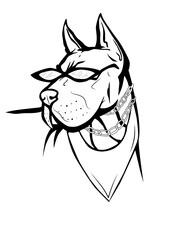 Bulldog with glasses and a chain around his neck. Illustration of a dog in black and white style. Fashionable illustration. Bulldog poster with glasses.