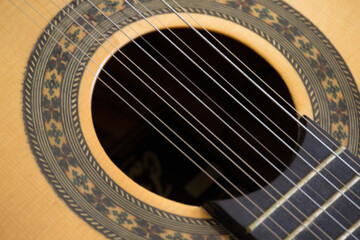 close to brazilian folk viola caipira strings
