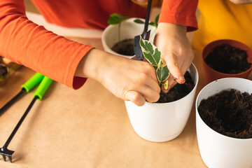 Happy children plant plants at home. Fun homework with the family. Funny Sisters transplanting...