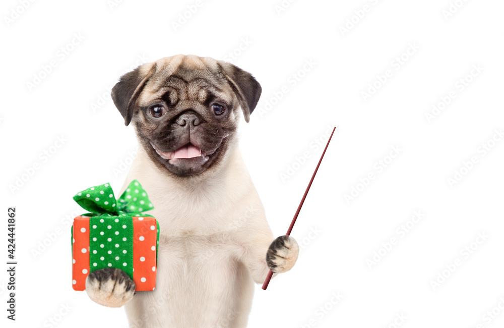 Poster Funny puppy holds gift box and pointing away on empty space. isolated on white background