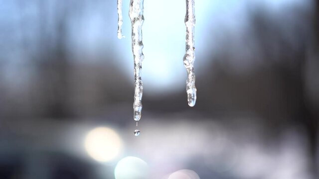 Beautiful dripping icicles on a warm bright sunny day. Melting icicle on a blue background, seamless loop. Endless loop, loopable.