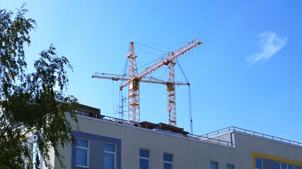Construction site with crane on blue sky background. Civil engineering. Building of new multi-story house. Real estate investing. Housing development. Sale, rental and insurance flat. Industry. Tree.