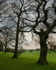 The Westwood public park and golf course in spring. Beverley, UK.