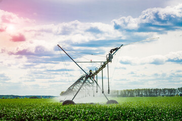 An irrigation pivot watering a field, beautiful view