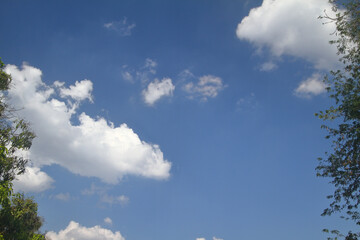 blue sky and white clouds nature background framed by trees on the side
