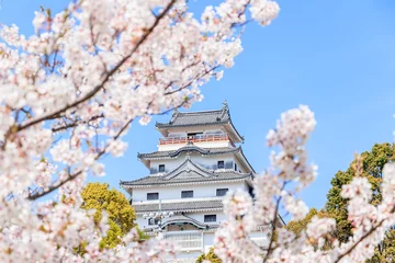Gordijnen 桜と唐津城　佐賀県唐津市　Cherry Blossoms and Karatsu castle Saga-ken Karatsu city © M・H