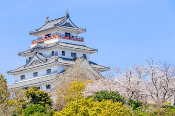 桜と唐津城　佐賀県唐津市　Cherry Blossoms and Karatsu castle Saga-ken Karatsu city