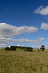 Fototapeta premium landscape with sky and clouds