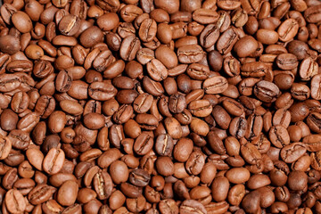 Arabica coffee beans that are roasted, baked and graded