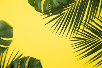 Tropical palm leaves isolated on bright yellow background. © RomixImage