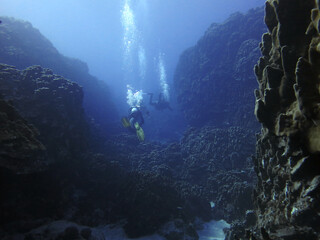 Mergulhando pelo canyon