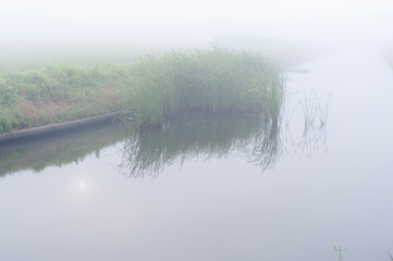 Foggy river