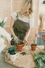 The girl's hands transplant green onions into a terracotta pot. Growing onions at home. Gardening.