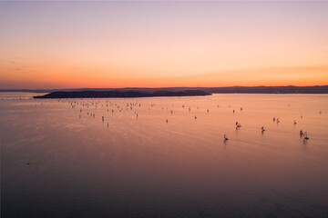 Sailing boats at Lake Balaton