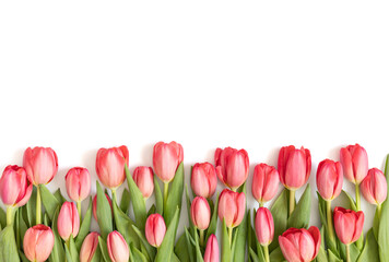 Beautiful flower arrangement isolated on a white background. Border of red tulips. Easter pink tulips. Valentines Day, Mothers Day concept. Copy space, top view