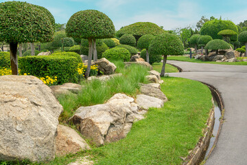 Topiary garden landscaped design with hedge round shape of bush,