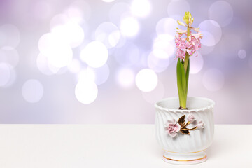 Flower decoration background. Close-up of beautiful pink hyacinth with tender buds and fresh greenery in a decorative white vase on bright desk over abstract blurred pink background.