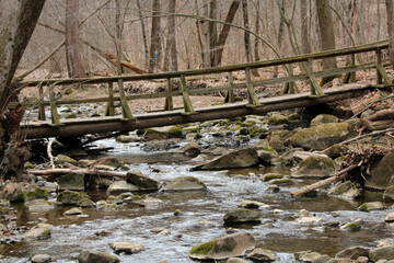 old bridge in the forest