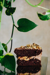 a slice of delicious, sweet and fresh Prague cake