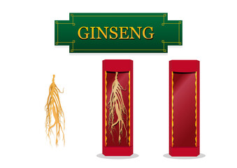 Asian Ginseng in showcase gift box in flat, vector