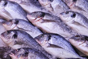 Fresh chilled fish at the grocery market 