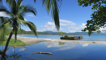 Beach paradise scene in puerto viejo costa rica with green palm trees and a blue sky, an old shipwreck was stranded now it has nature on it