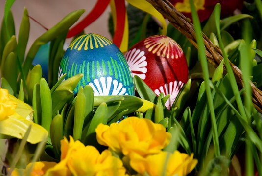 Easter egg hidden in the grass for the hunt stock images. Beautiful hand painted easter eggs with spring flowers close-up stock images. Easter decoration with colored egg and fresh flowers photo