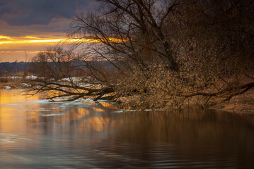 sunset over the picturesque Wieprz River in the Lublin province - obrazy, fototapety, plakaty