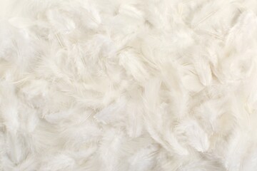 Dazzling white background of fluffy soft feathers close up
