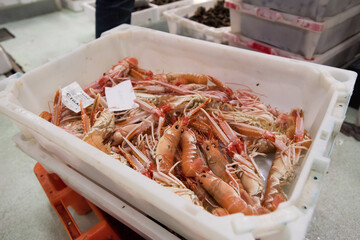 fresh seafood from Galician fish market