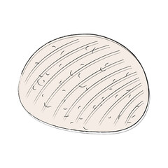 Whole round soft homemade cottage cheese. Simple icon with food for menu, brochure, website, advertising. Hand drawing, doodle, flat. Linear illustration with fill. Farm products and shops. Ricotta