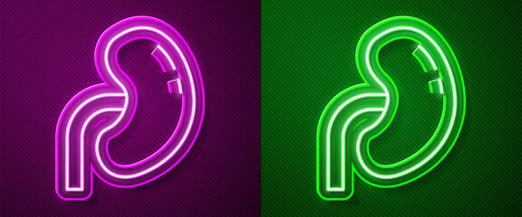 Glowing neon line Human kidney icon isolated on purple and green background. Vector