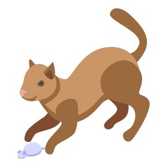 Playful home cat icon. Isometric of Playful home cat vector icon for web design isolated on white background