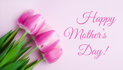 Postcard for Mother's Day. Bouquets pink tulips on pink background. Greeting card. Banner. Close-up. Top view.