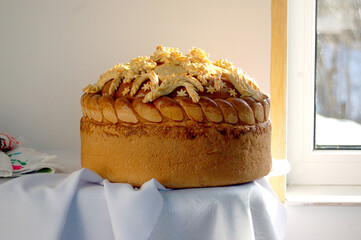 close up of a glass of beer