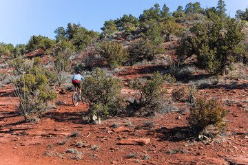 Hiking Cathedral Rock Trail is worth the trip to Sedona, worth the vulture-like hovering to get a parking spot, and worth the challenging climb to the top. Its views from various points on the trail a
