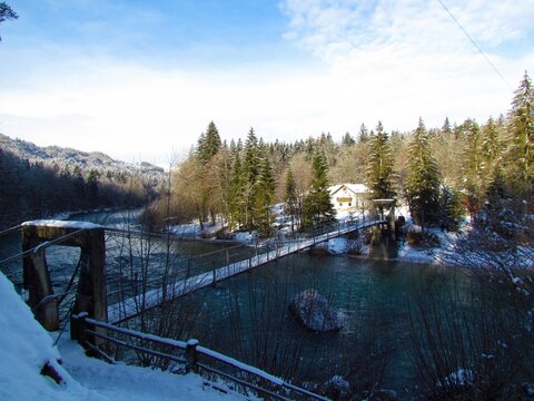 Fuxova brv bridge across Sava river in Gorenjska, Slovenia and a forest surrounding the river