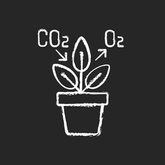 Fototapeta na wymiar Air purifying plant chalk white icon on black background. Plants clean the air through the process of photosynthesis. Oxygen level increasing. Isolated vector chalkboard illustration
