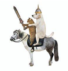 A dog labrador warrior in a helmet armed with a sword and a beige cat ride a gray horse. White background. Isolated.