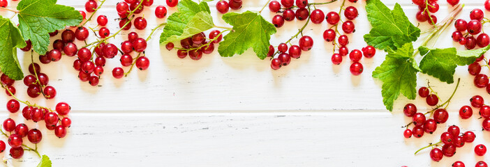 Fresh Redcurrant with Leaves, copy space