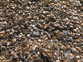 粉砕されたガラスビンのリサイクルゴミ