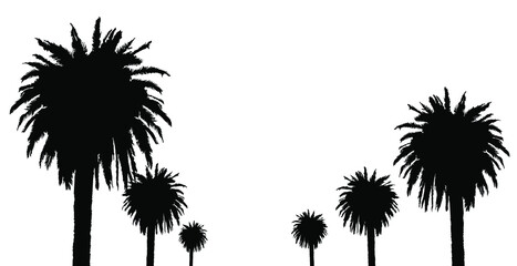 Palm silhouette black color on a white background, isoolated. Travel theme, summer illustration. Vector EPS 10.