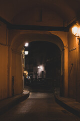 Arc to an alley in Seville