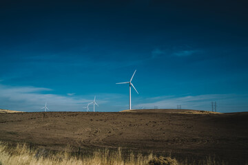 Windmills and electricity poles in field