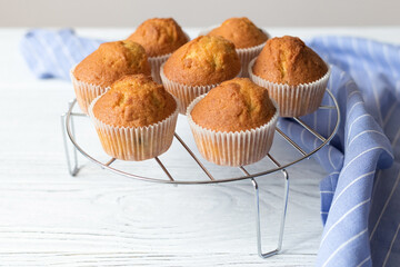 Appetizing homemade muffins on a white wooden table
