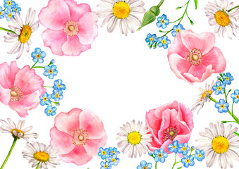 watercolor drawing flowers of rosehip