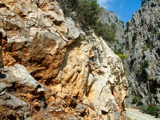 Rocks and  trees in the canyon Goynuk in Turkey