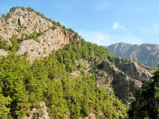 Fototapeta na wymiar In the canyon Goynuk in Turkey